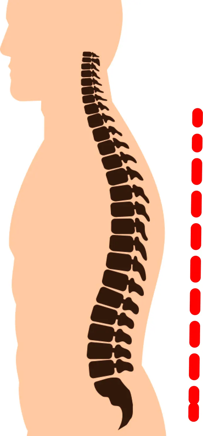 Espina dorsal
